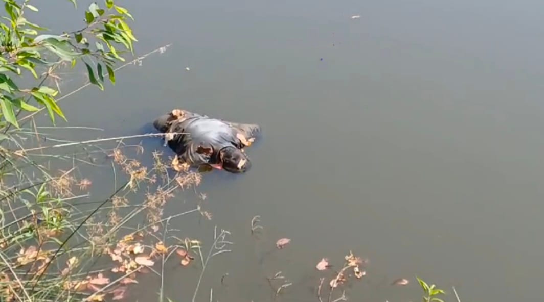 हटकुल नदी में मिली अज्ञात युवक की लाश ,मौके पर पहुंची पुलिस 