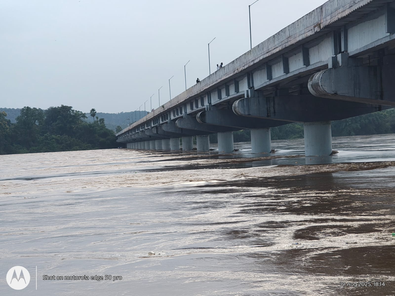 टेक्लगुडम इलाके में एनएच 163 पर भरा पानी तो बीजापुर से हैदराबाद का संपर्क कटा, इधर कोंटा में शबरी नदी का जलस्तर वार्निंग लेवल से नीचे