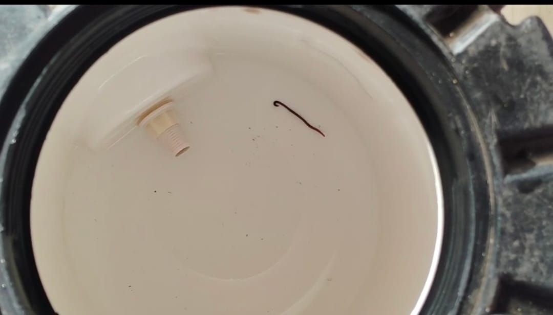 खबरदार अगर आप भी पी रहे है ये पानी, हो जाए सावधान , पानी के कैन में मिला जिंदा कीड़ा