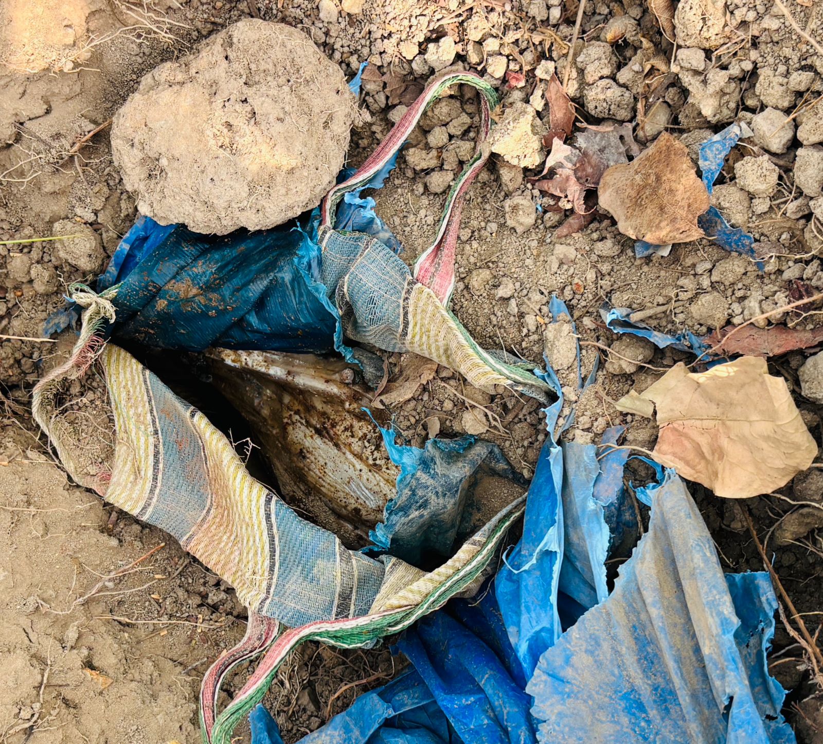 नक्सलियों की प्लांट आईईडी बरामद, जंगलों में दफन बारूद ढूंढने में जुटे जवान
