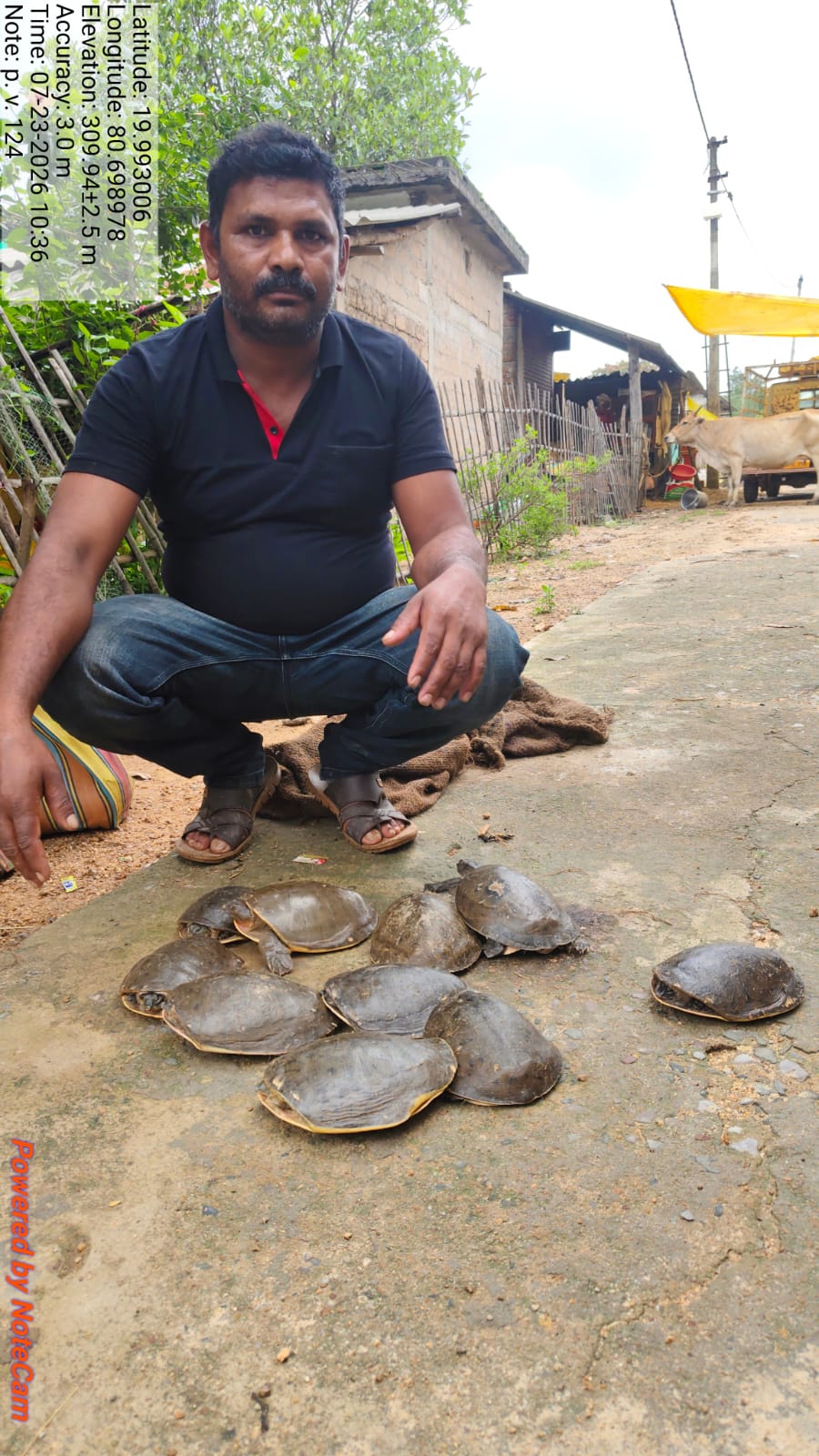 11 नग कछुआ के साथ आरोपी गिरफ्तार, बेचने की फिराक में कर रहा था ग्राहक की तलाश, उड़नदस्ता टीम ने पकड़ा